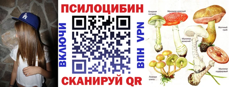 Псилоцибиновые грибы Psilocybe  Батайск 