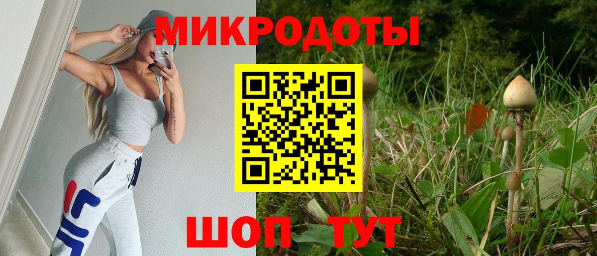 Галлюциногенные грибы Psilocybe  Вход с VPN  где купить наркотик  Батайск  Псилоцибиновые грибы прущие грибы 