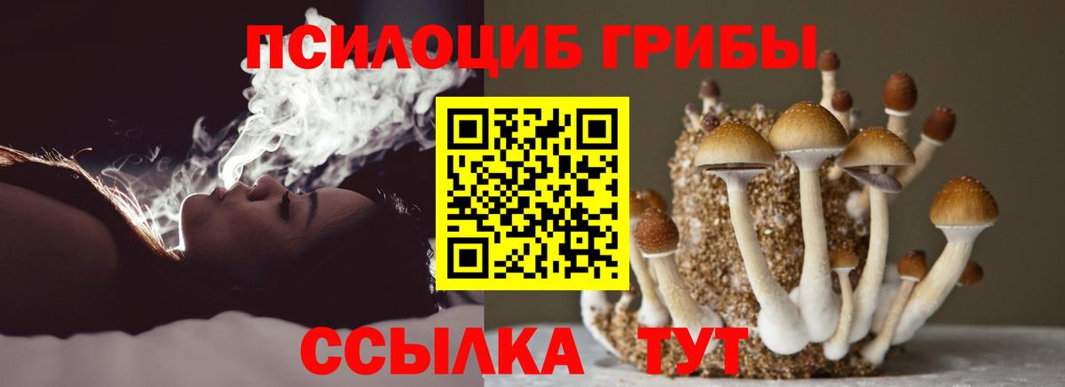 Галлюциногенные грибы мицелий Батайск
